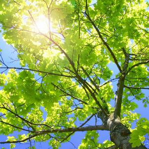 成人做爰88片免费观看
