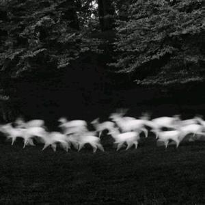 成人做爰88片免费观看
