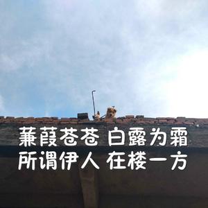 成人做爰88片免费观看
